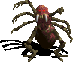 Arachnon