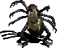 Spider Lord