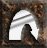 Barbarian speedrun skills