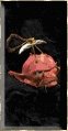 Necromancer items of interest