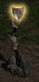 Diablo 2 shrine icons