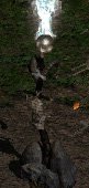 Diablo 2 shrine icons