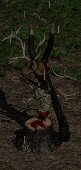 Diablo 2 shrine icons
