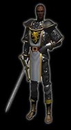 Paladin